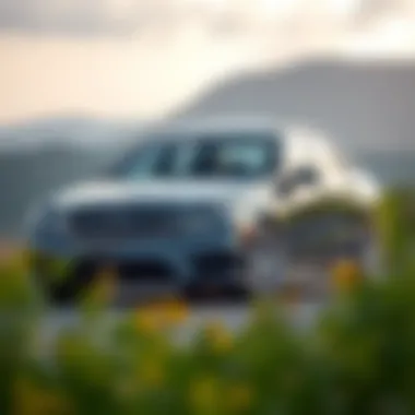 Market Appeal and Aesthetic Presence of the E350 2010 Mercedes-Benz E350 parked against a scenic backdrop representing market appeal