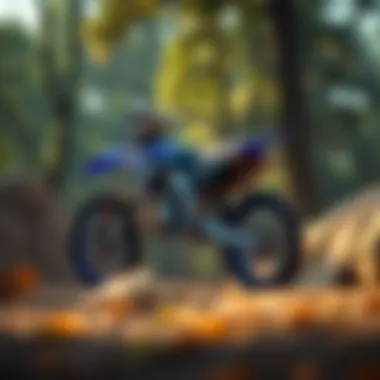 Magnificent Comprehensive Analysis of the 2021 Yamaha YZ 450F Magnificent Comprehensive Analysis of the 2021 Yamaha YZ 450F