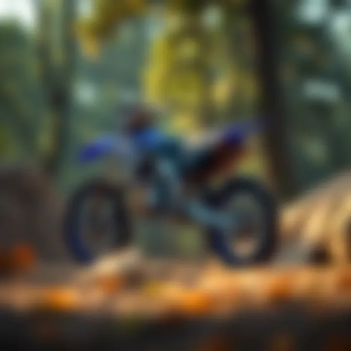 Magnificent Comprehensive Analysis of the 2021 Yamaha YZ 450F Magnificent Comprehensive Analysis of the 2021 Yamaha YZ 450F