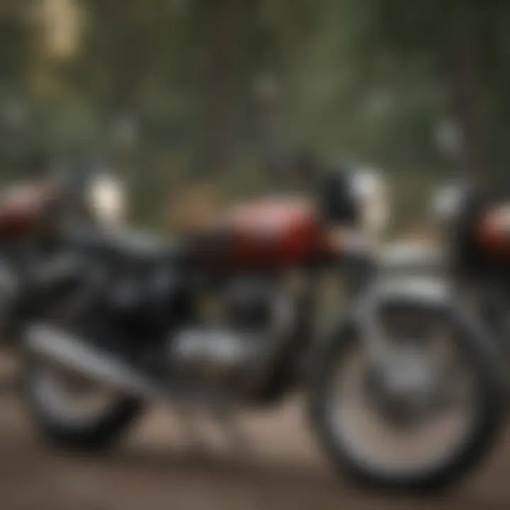 Group of different Royal Enfield models lined up for comparison