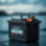 Different types of batteries suitable for trolling motors