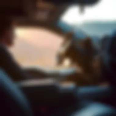 Interior Features of the 2016 Ford F-150 Interior view of the 2016 Ford F-150 highlighting advanced technology and comfort features