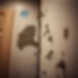 Understanding Mold Growth in RVs Mold growth on an RV wall