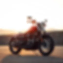 Striking profile of the 2013 Harley Sportster 883