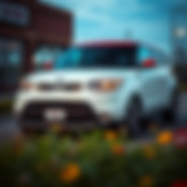 Kia Soul in Grand Rapids Kia Soul parked in a scenic Grand Rapids location