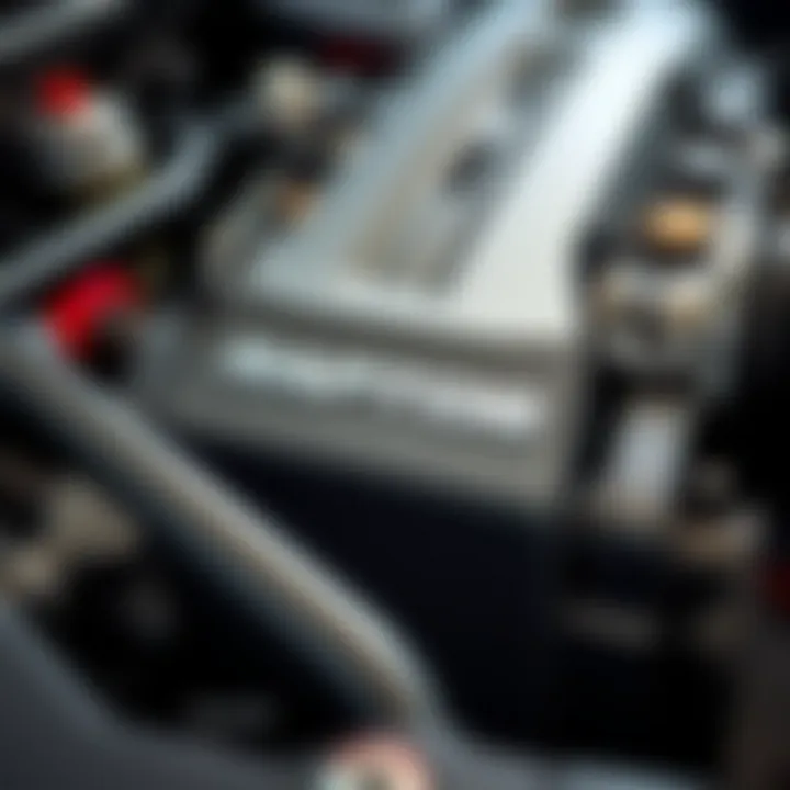 Detailed View of the Raptor Motor Ford F-150 Raptor Motor Close-Up