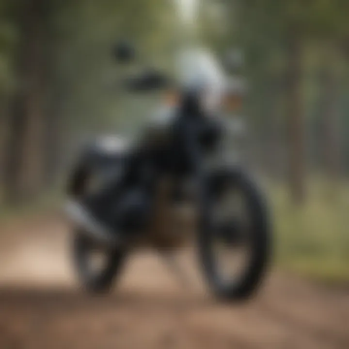 Front view showcasing the rugged design of the Royal Enfield Himalayan