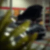 Jaguar Maintenance Schedule: A Comprehensive Guide Introduction