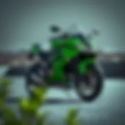 The sleek design of the Kawasaki Ninja 300 SE showcasing its aerodynamic lines