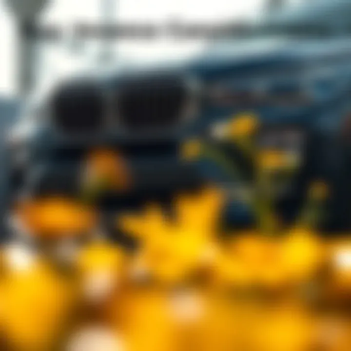 Maintenance tips infographic