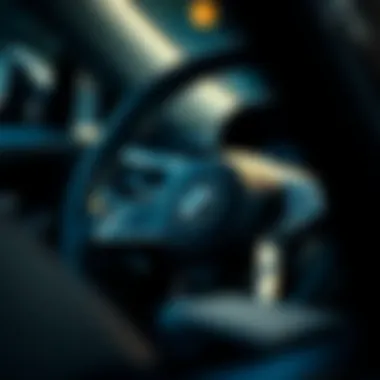 Variety of steering wheel locking devices