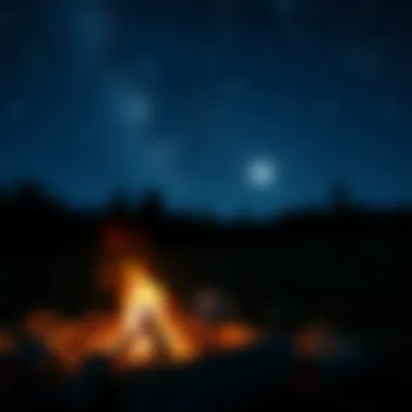 A campfire glowing under a starlit sky
