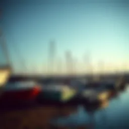 A serene marina filled with abandoned boats