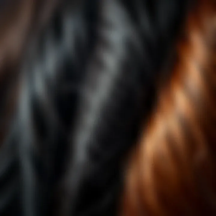 A close-up view of different hair textures suitable for waxing