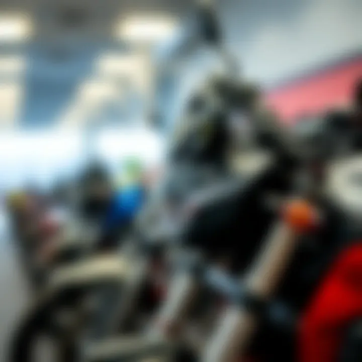 Manufacturer Variations in VIN VIN variations across different bike manufacturers